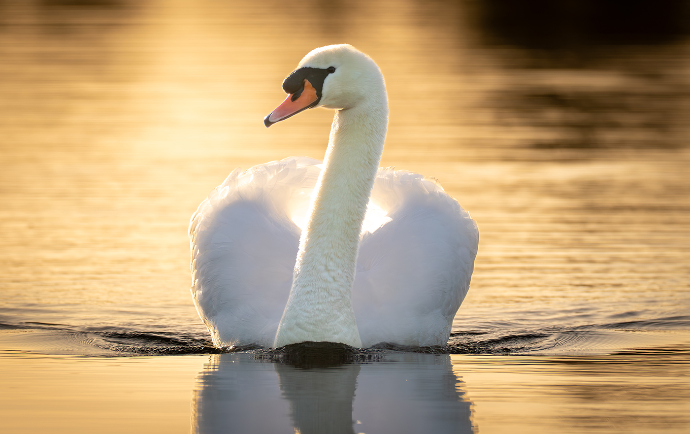 #slidecaption9 Photo Gallery